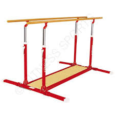 Artistic Gymnastics Parallel Bars