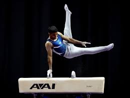 Gymnastics Pommel Horse Performance