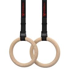 Gymnastics Rings Image