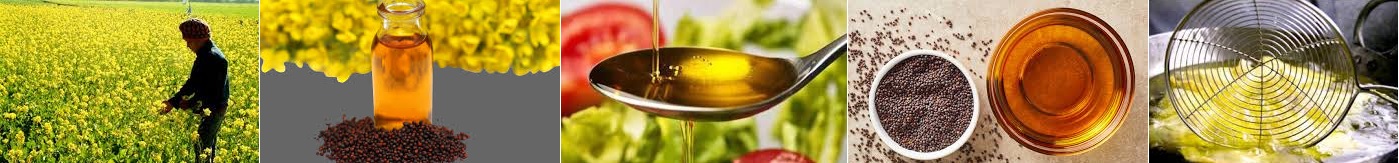 Mustard Oil Main Image