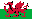 Wales Flag